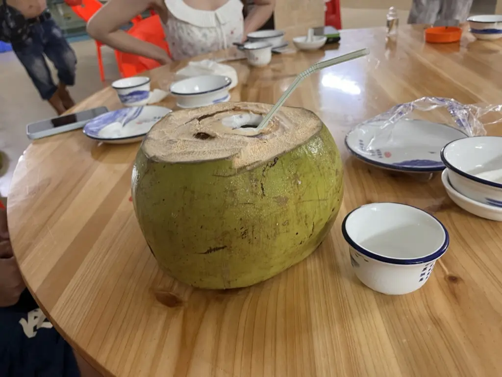 海南的椰子，不好喝！